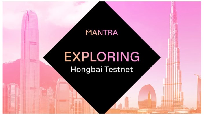 Изучение тестовой сети MANTRA Chain Hongbai: подробный обзор